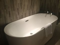 picture-常州环球恐龙城维景国际大酒店