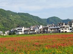 -新安江山水画廊风景区