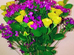 -鹿岛会员店 (龙湖三千集天街店)