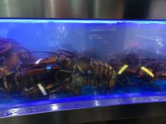 -盒马鲜生(莱蒙都会店)