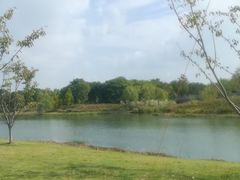 -贡湖湾湿地公园