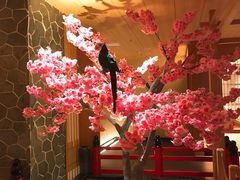 -蓝鲸湾汤泉(包河店)