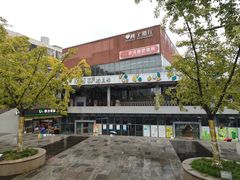 -辛香味烧鱼馆·非遗技艺·排骨红烧肉(光谷医药园店)