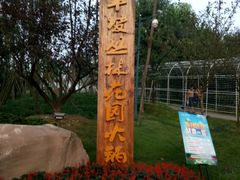 -秀丽东方