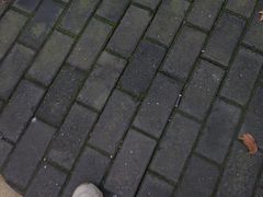 -镇南锅盖面馆(解放路店)