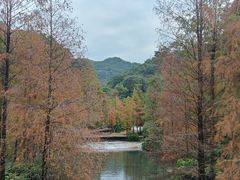 -云溪植物园