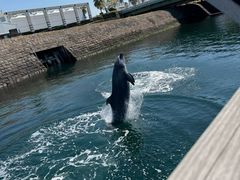 -鹿儿岛水族馆