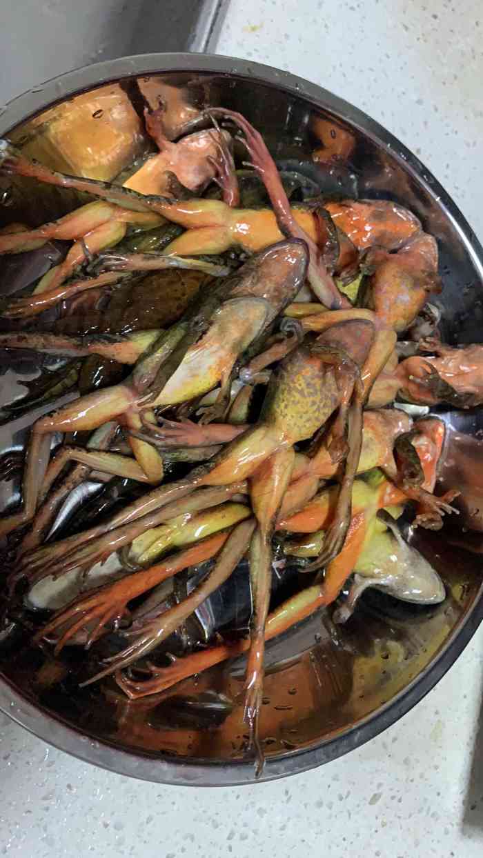 金蛤蟆炖鸡馆"宽甸来说比较好的请客吃饭地方了-大众点评移动版