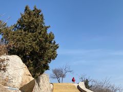 -北京西山国家森林公园