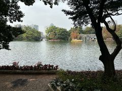 -荔湾湖公园
