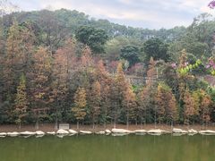 -广州市帽峰山景区