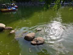 -莲湖公园