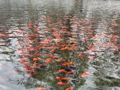 -水磨沟公园