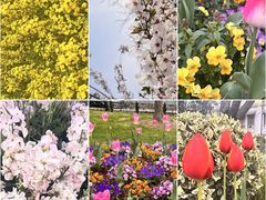 -钟山体育运动公园