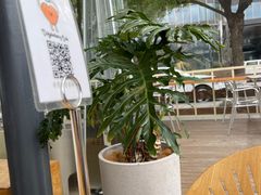 -爱樂咖啡(青年体育公园店)