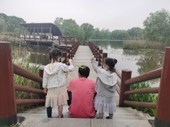 -长兴太湖图影湿地文化园