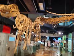 -墨尔本博物馆(Melbourne Museum)