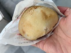 -百年夯碳烤胡椒饼(阿拉城店)