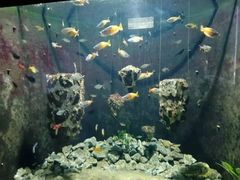 -成都浩海立方海洋公园