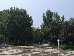 -望湖公园