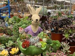 -三圣花乡旅游区