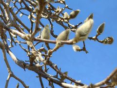 -国家图书馆·古籍馆