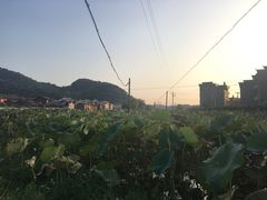 -上甘棠村