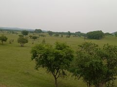 -塞罕坝国家级自然保护区