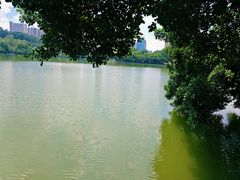 -畔山酒店中餐厅