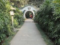 -广州兰圃