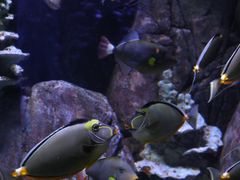 -成都浩海立方海洋公园