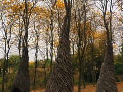 -天适樱花悠乐园