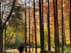 -苏州河梦清园环保主题公园