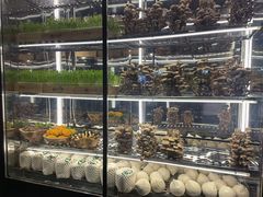 -大头椰·椰子鸡火锅(南宁万象城店)