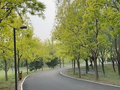 -东郊湿地公园
