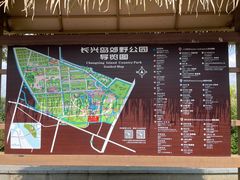 -上海长兴岛郊野公园