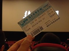 -AMG海上明珠影城(上海环球港RealDCinema店)
