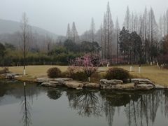 -习家池