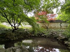 -杭州植物园