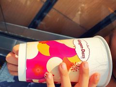 -哈根达斯(世界城店)