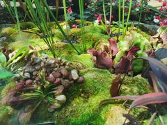 -北京植物园-展览温室