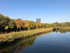 -大兴滨河森林公园