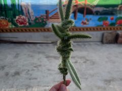 -太白山御龙湾温泉
