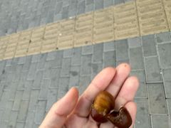 -王老头炒货(玉蜓桥店)