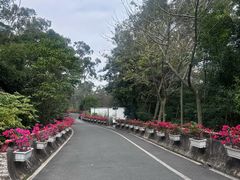 -南宁荔园维景国际酒店·荔园中餐厅