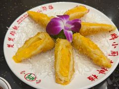 -头牌小厨·福田大排档(石厦店)