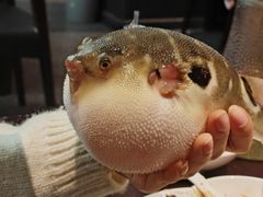 -永安鱼庄·镇江菜(东吴路店)