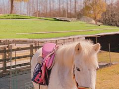 -前小桔亲子创意农场·草莓采摘·露营烧烤