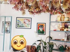 -喵屿·大理花园猫咖