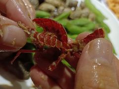 -蛙蛙叫干锅年代(簋街总店)